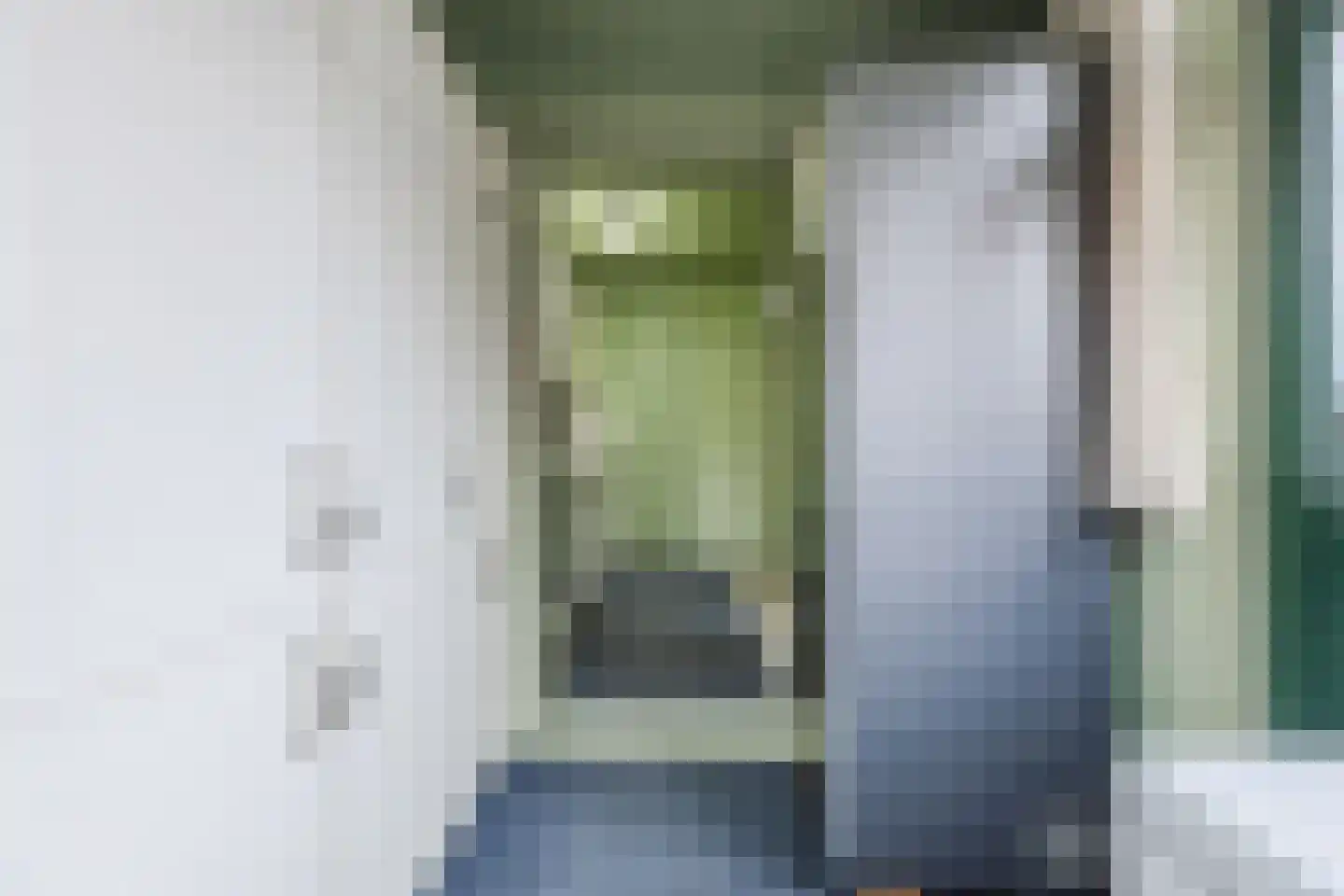 Domela Nieuwenhuisstraat 30 Zaandijk thumbnail 19