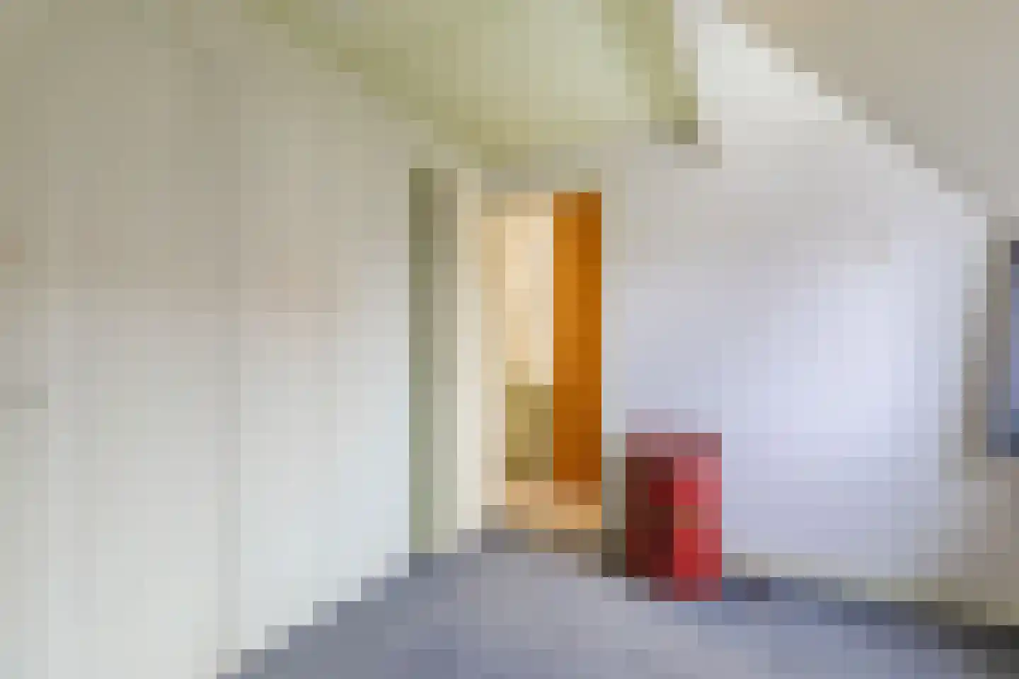 Domela Nieuwenhuisstraat 30 Zaandijk thumbnail 23