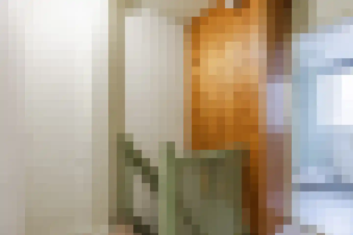 Domela Nieuwenhuisstraat 30 Zaandijk thumbnail 25