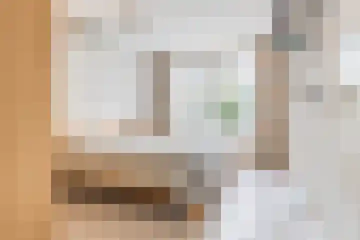 Domela Nieuwenhuisstraat 45 Appelscha thumbnail 17