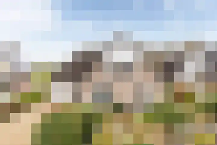 Domela Nieuwenhuisstraat 45 Appelscha thumbnail 39