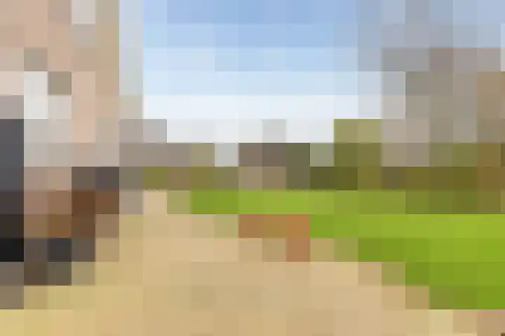 Domela Nieuwenhuisstraat 45 Appelscha thumbnail 41