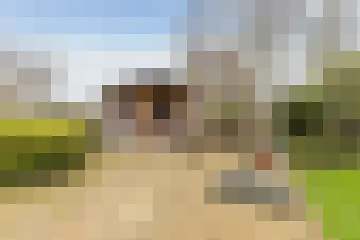 Domela Nieuwenhuisstraat 45 Appelscha thumbnail 42