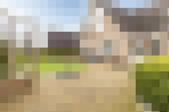 Domela Nieuwenhuisstraat 45 Appelscha thumbnail 44