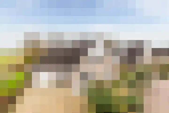 Domela Nieuwenhuisstraat 45 Appelscha thumbnail 45