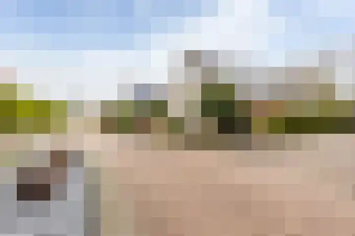 Domela Nieuwenhuisstraat 45 Appelscha thumbnail 46