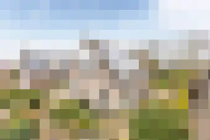 Domela Nieuwenhuisstraat 45 Appelscha thumbnail 6
