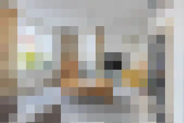 Domela Nieuwenhuisstraat 45 Appelscha thumbnail 7