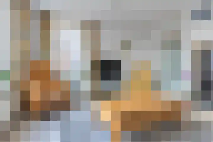 Domela Nieuwenhuisstraat 45 Appelscha thumbnail 8