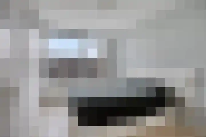 Domela Nieuwenhuisstraat 47 Nijmegen thumbnail 4