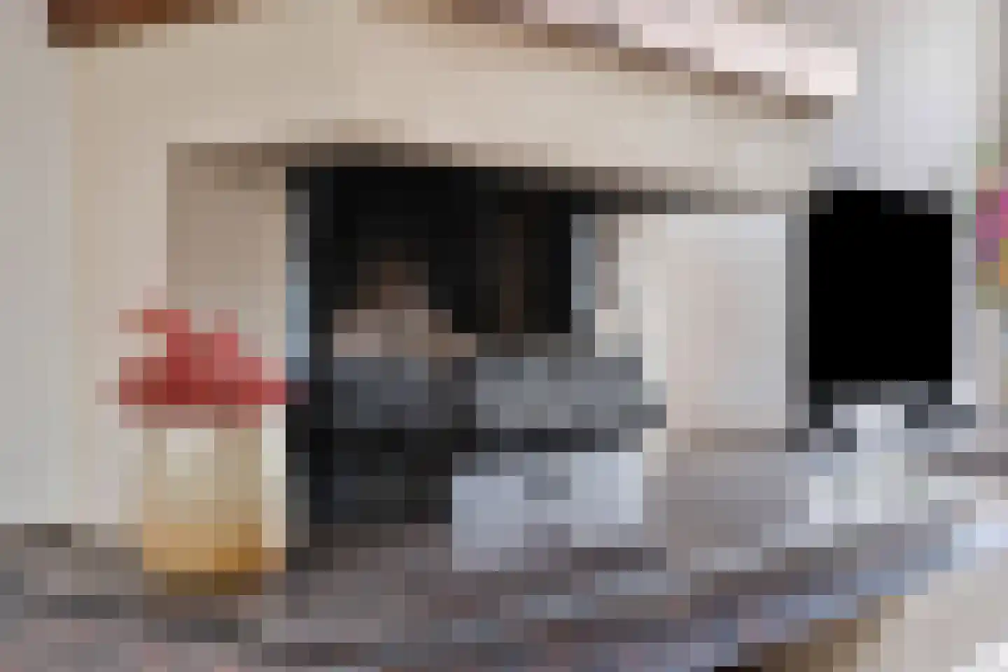 Domela Nieuwenhuisstraat 5 Didam thumbnail 11