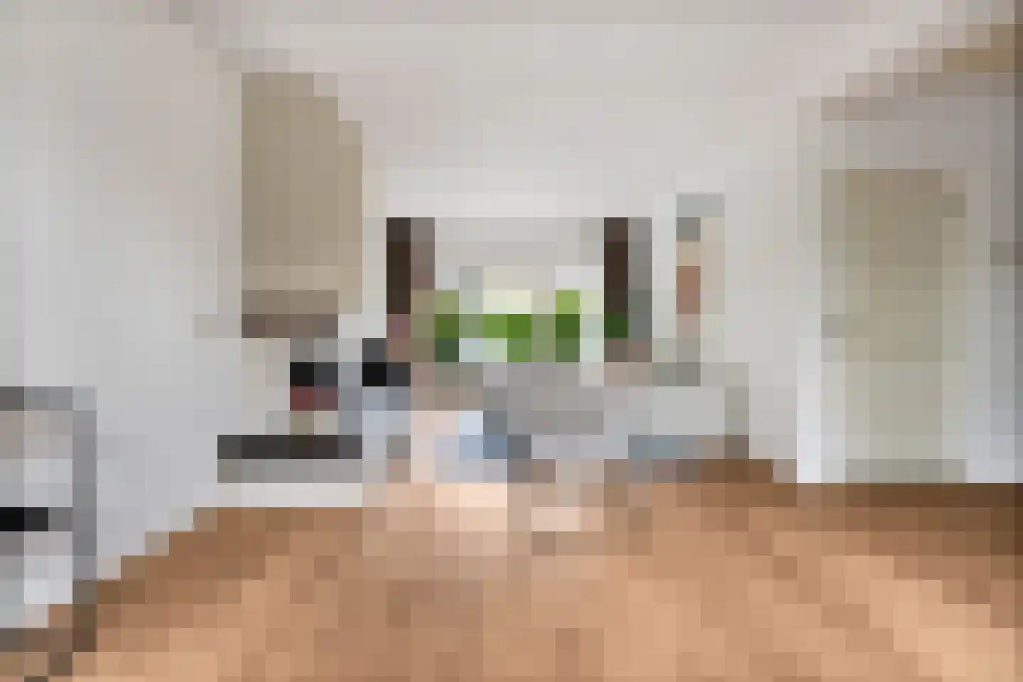 Domela Nieuwenhuisstraat 5 Didam thumbnail 15