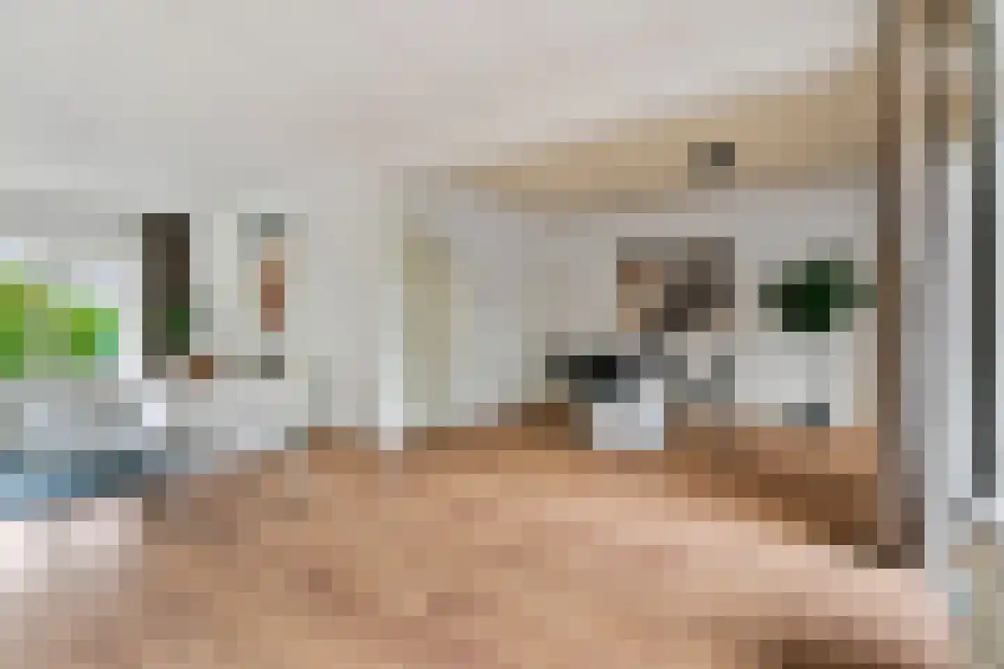 Domela Nieuwenhuisstraat 5 Didam thumbnail 16