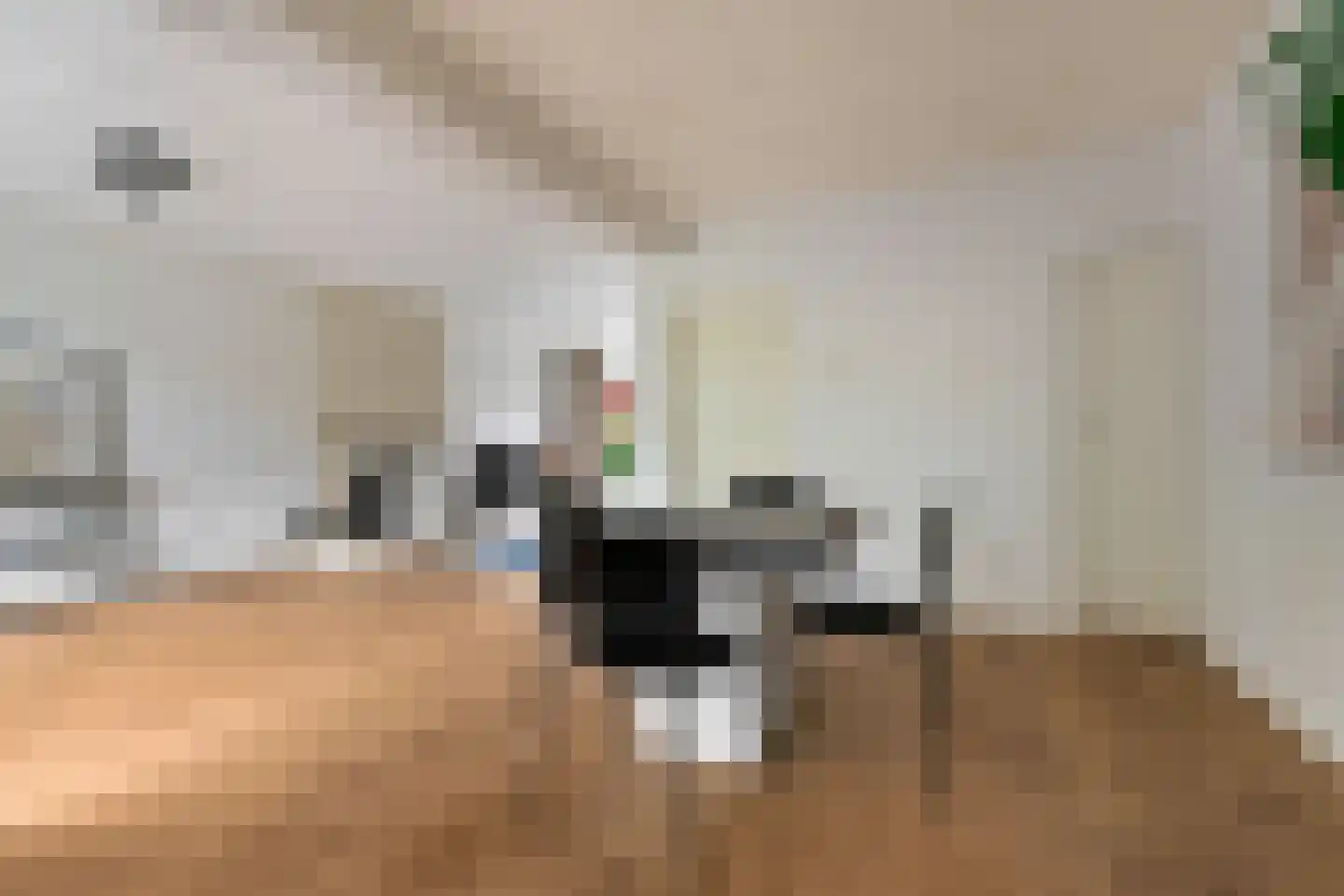 Domela Nieuwenhuisstraat 5 Didam thumbnail 18