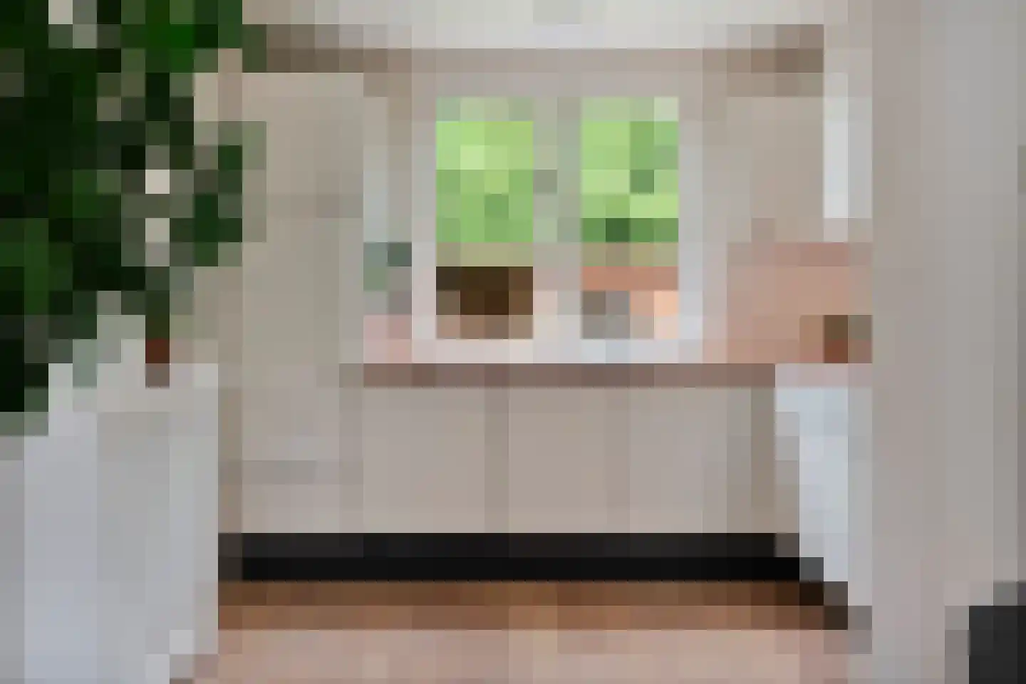 Domela Nieuwenhuisstraat 5 Didam thumbnail 19