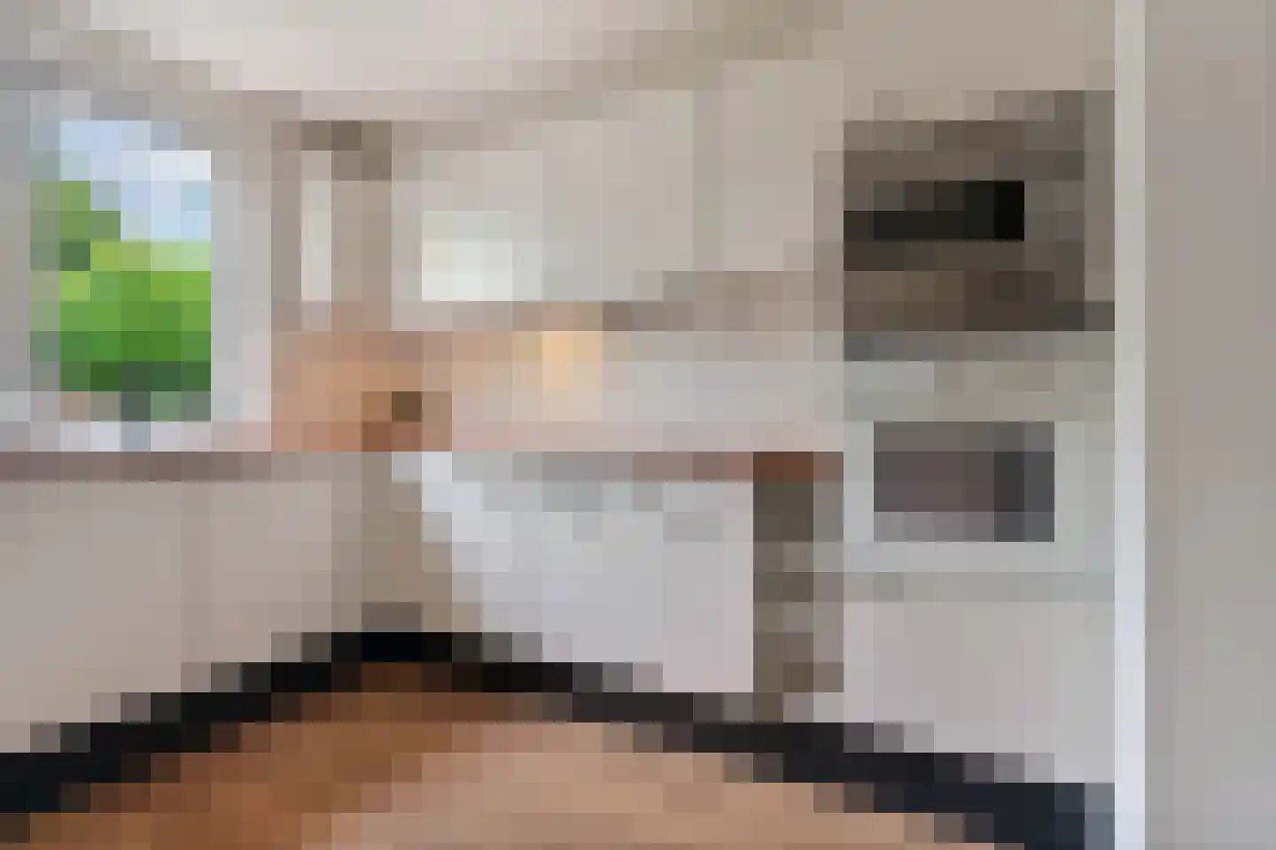 Domela Nieuwenhuisstraat 5 Didam thumbnail 21