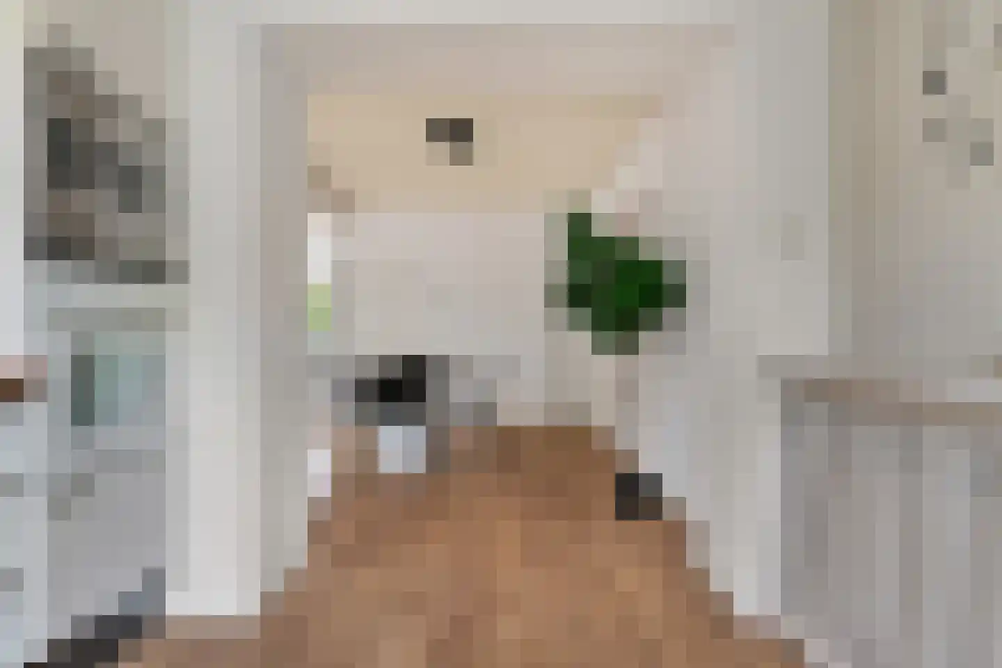 Domela Nieuwenhuisstraat 5 Didam thumbnail 22