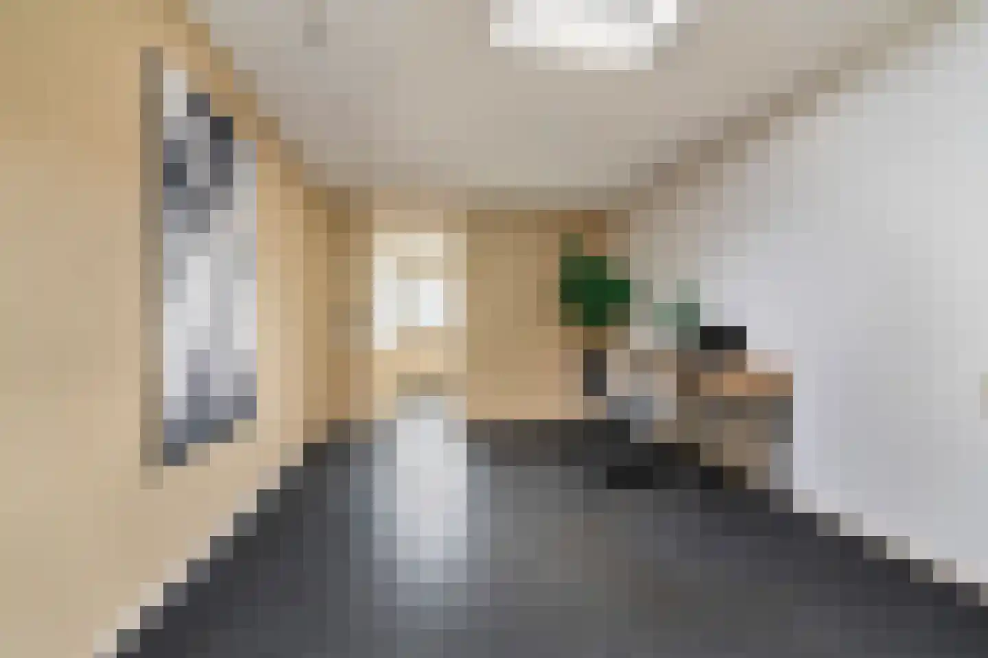 Domela Nieuwenhuisstraat 5 Didam thumbnail 23