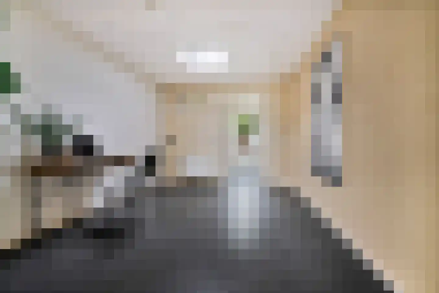 Domela Nieuwenhuisstraat 5 Didam thumbnail 24