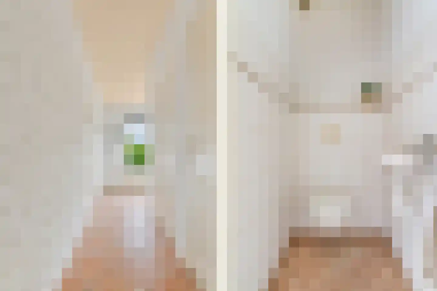 Domela Nieuwenhuisstraat 5 Didam thumbnail 30