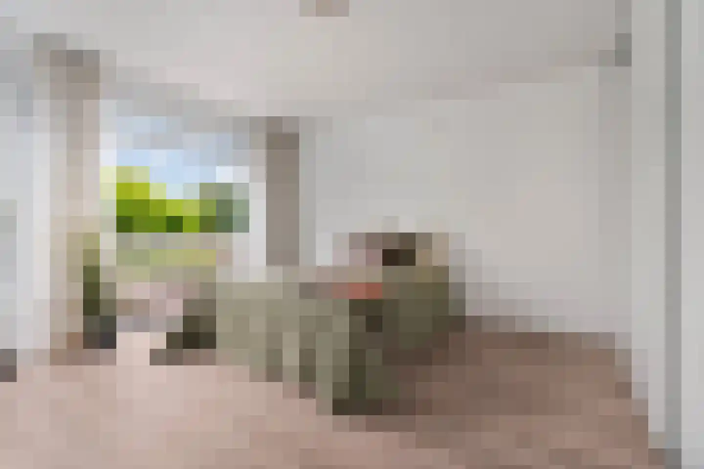 Domela Nieuwenhuisstraat 5 Didam thumbnail 33
