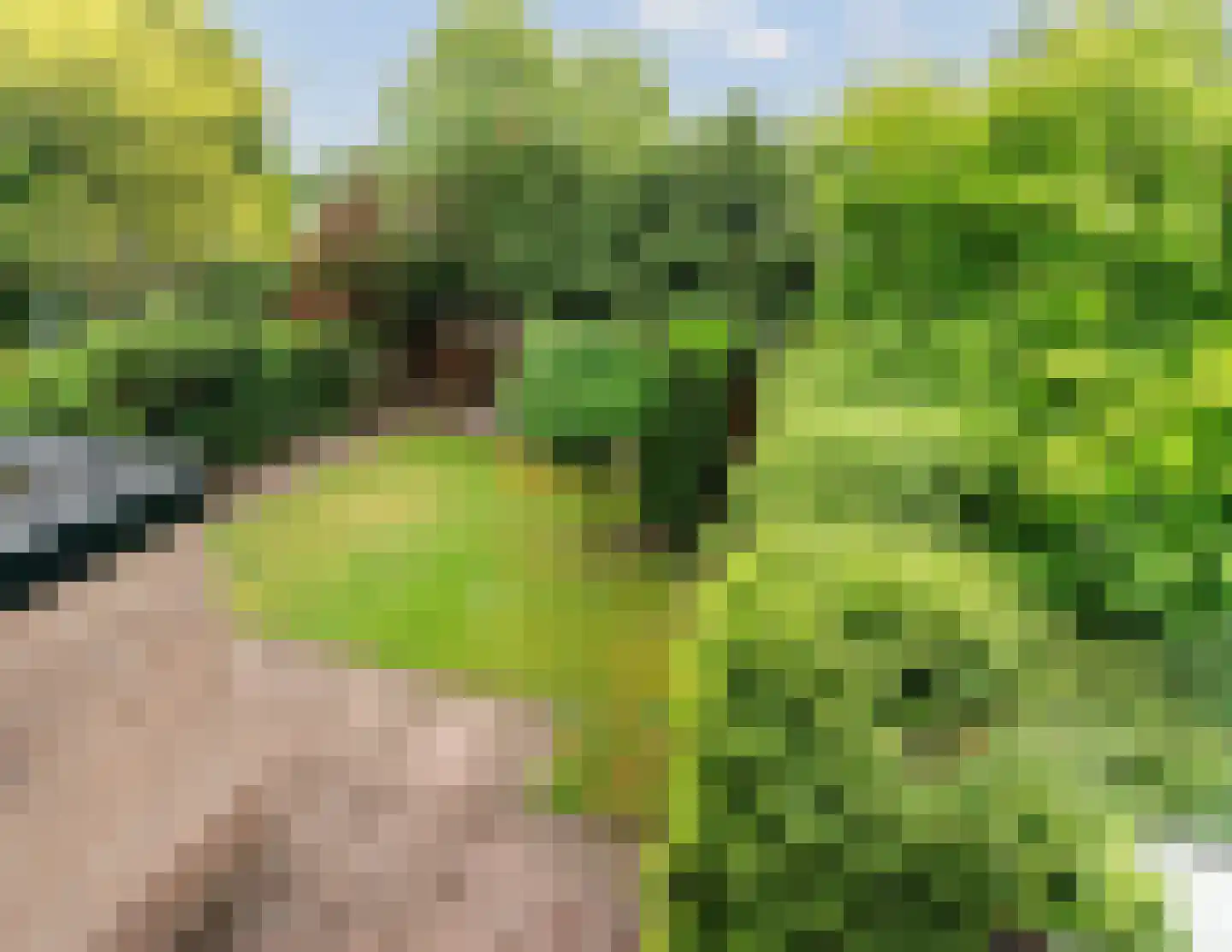 Domela Nieuwenhuisstraat 5 Didam thumbnail 36
