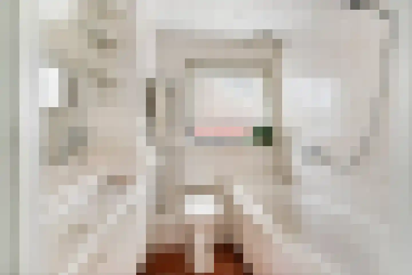 Domela Nieuwenhuisstraat 5 Didam thumbnail 37