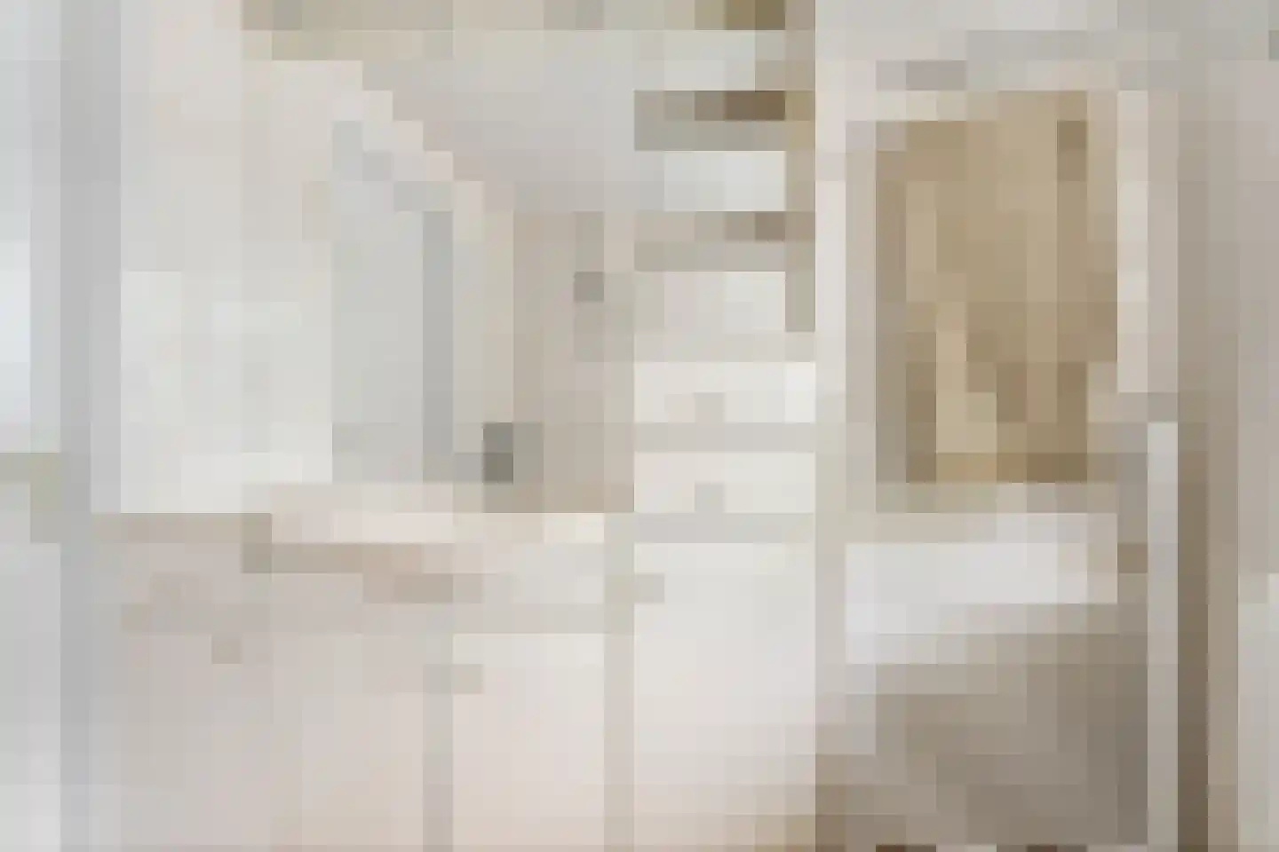Domela Nieuwenhuisstraat 5 Didam thumbnail 38