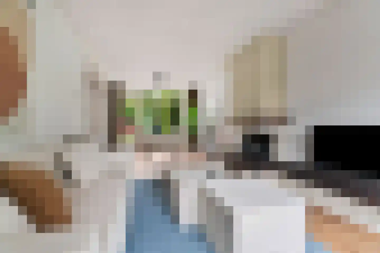 Domela Nieuwenhuisstraat 5 Didam thumbnail 4