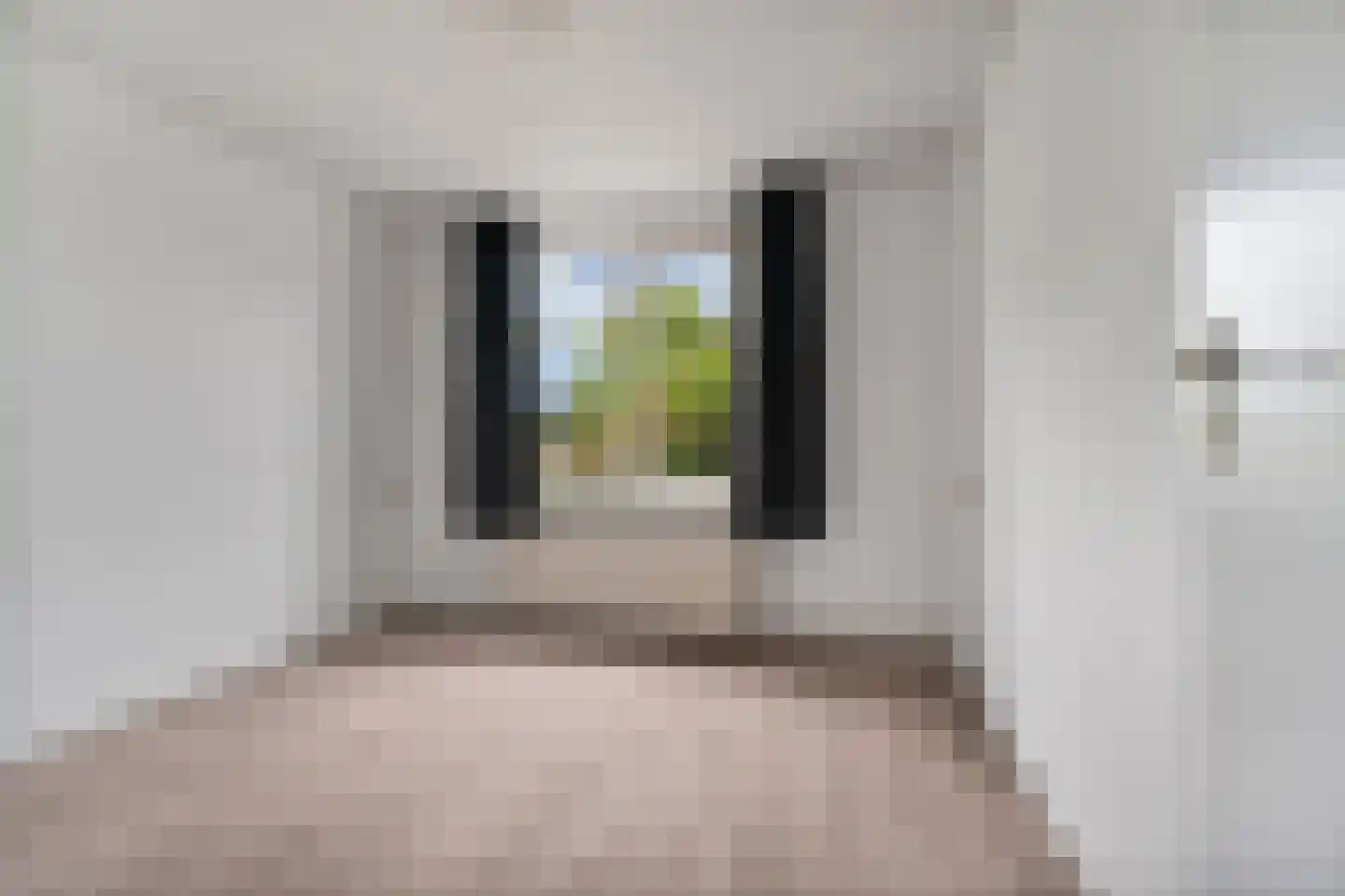 Domela Nieuwenhuisstraat 5 Didam thumbnail 43