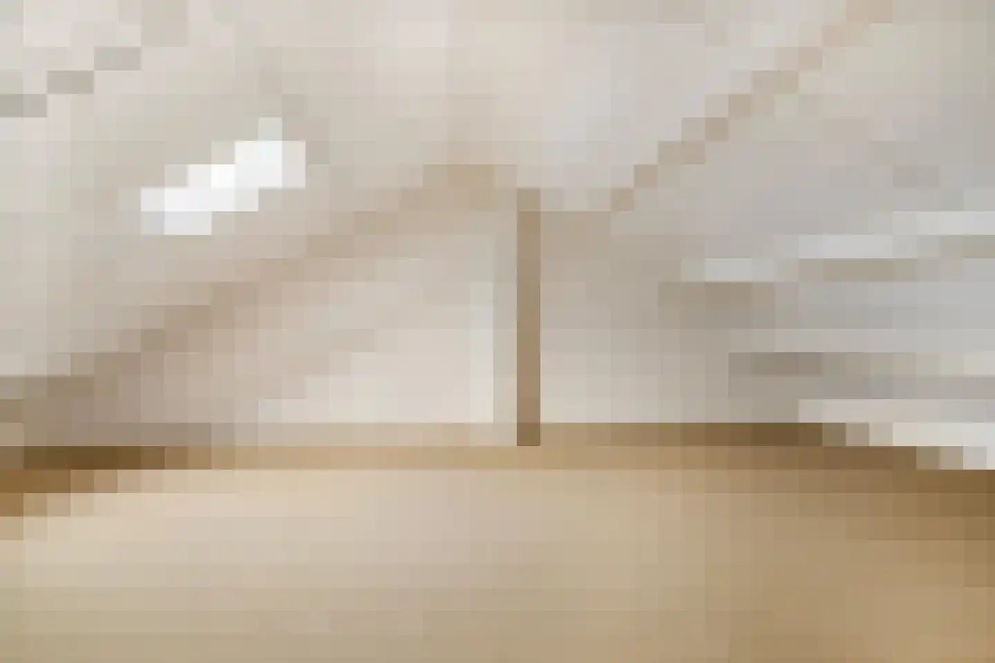 Domela Nieuwenhuisstraat 5 Didam thumbnail 49