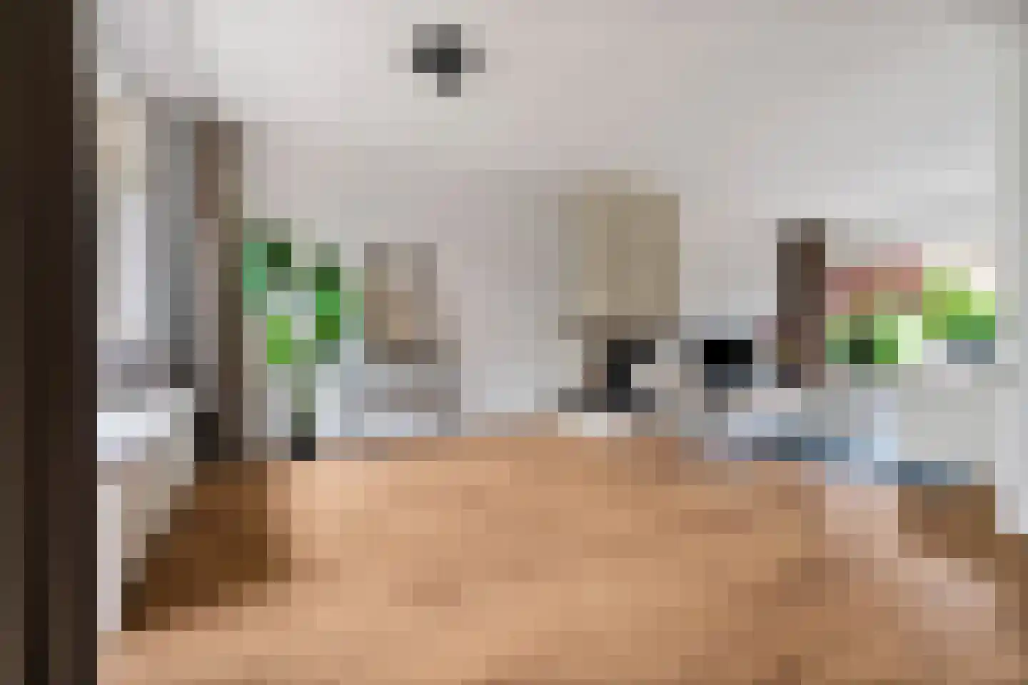 Domela Nieuwenhuisstraat 5 Didam thumbnail 5