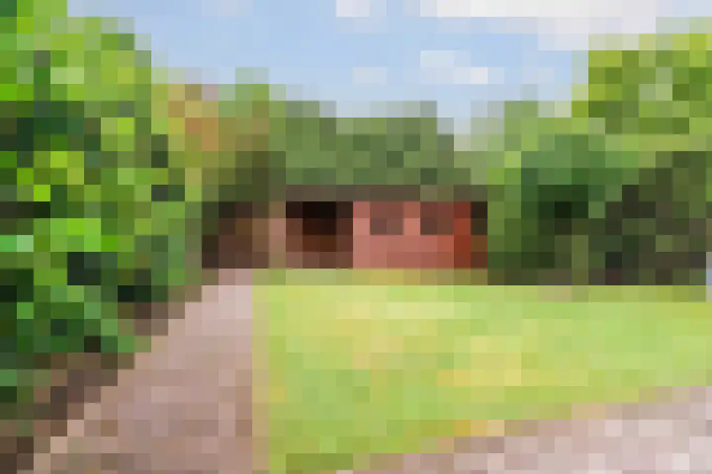 Domela Nieuwenhuisstraat 5 Didam thumbnail 50