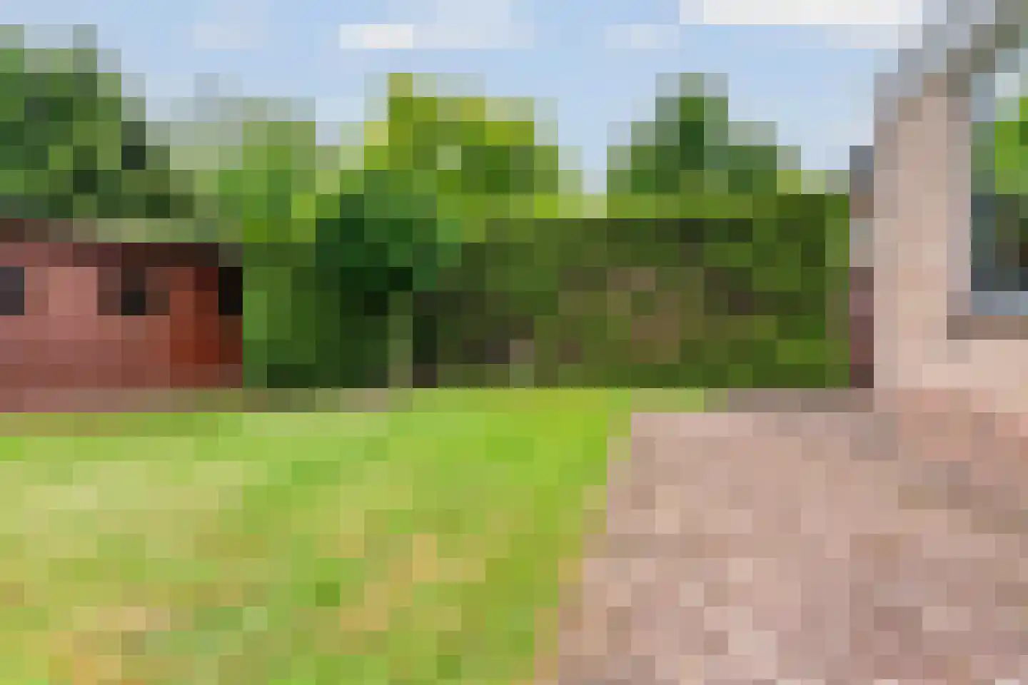 Domela Nieuwenhuisstraat 5 Didam thumbnail 51