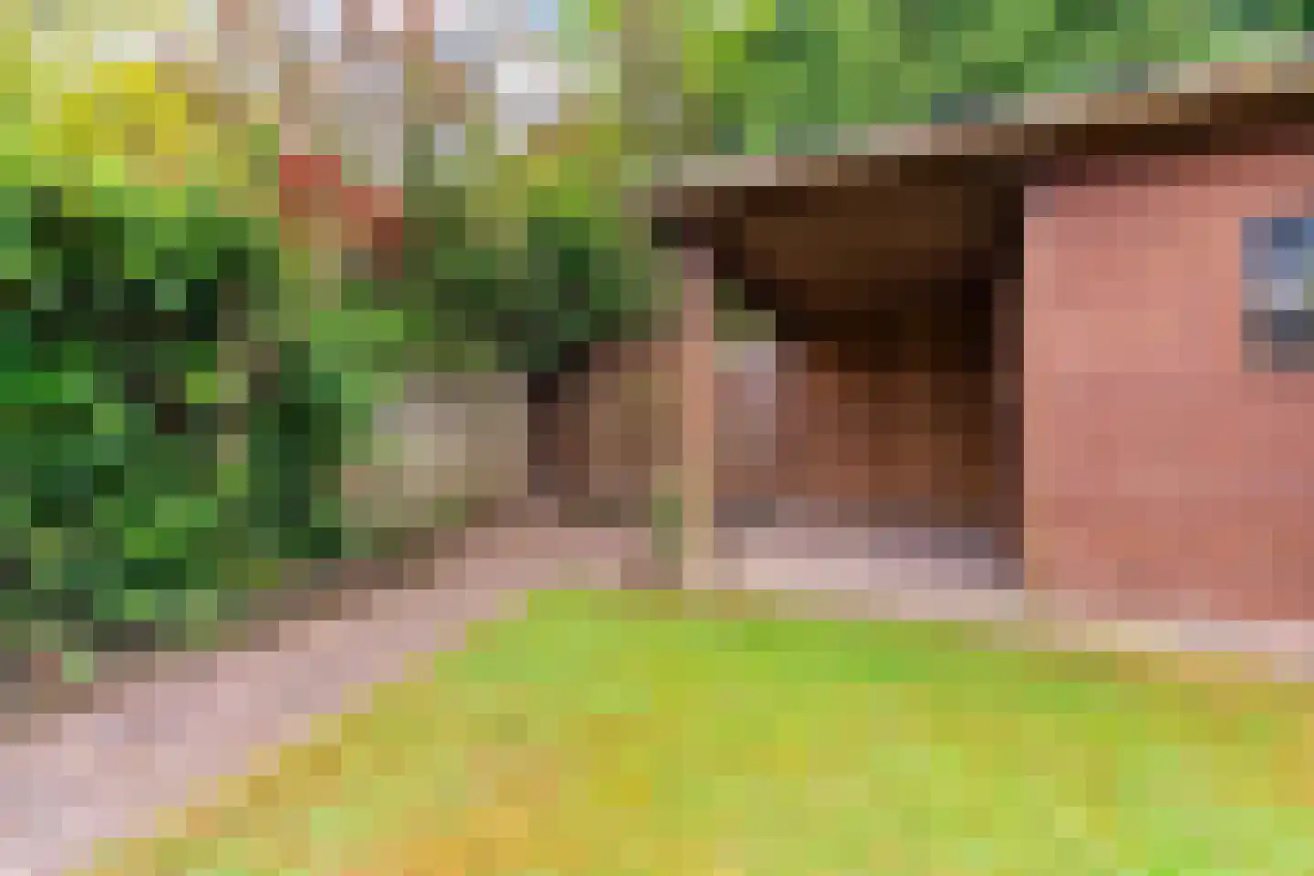 Domela Nieuwenhuisstraat 5 Didam thumbnail 52