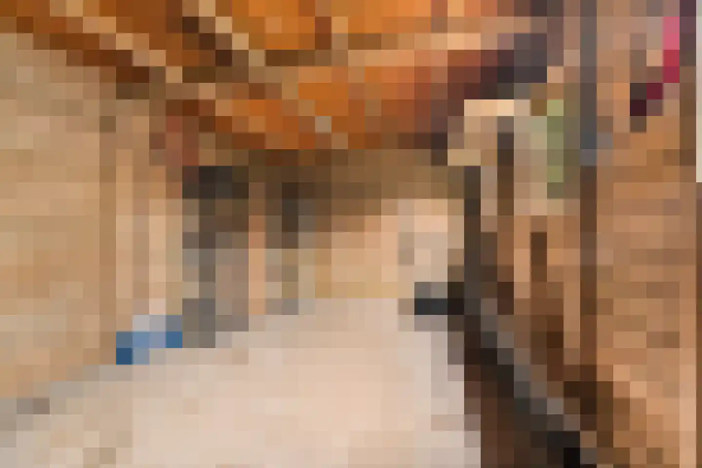 Domela Nieuwenhuisstraat 5 Didam thumbnail 53