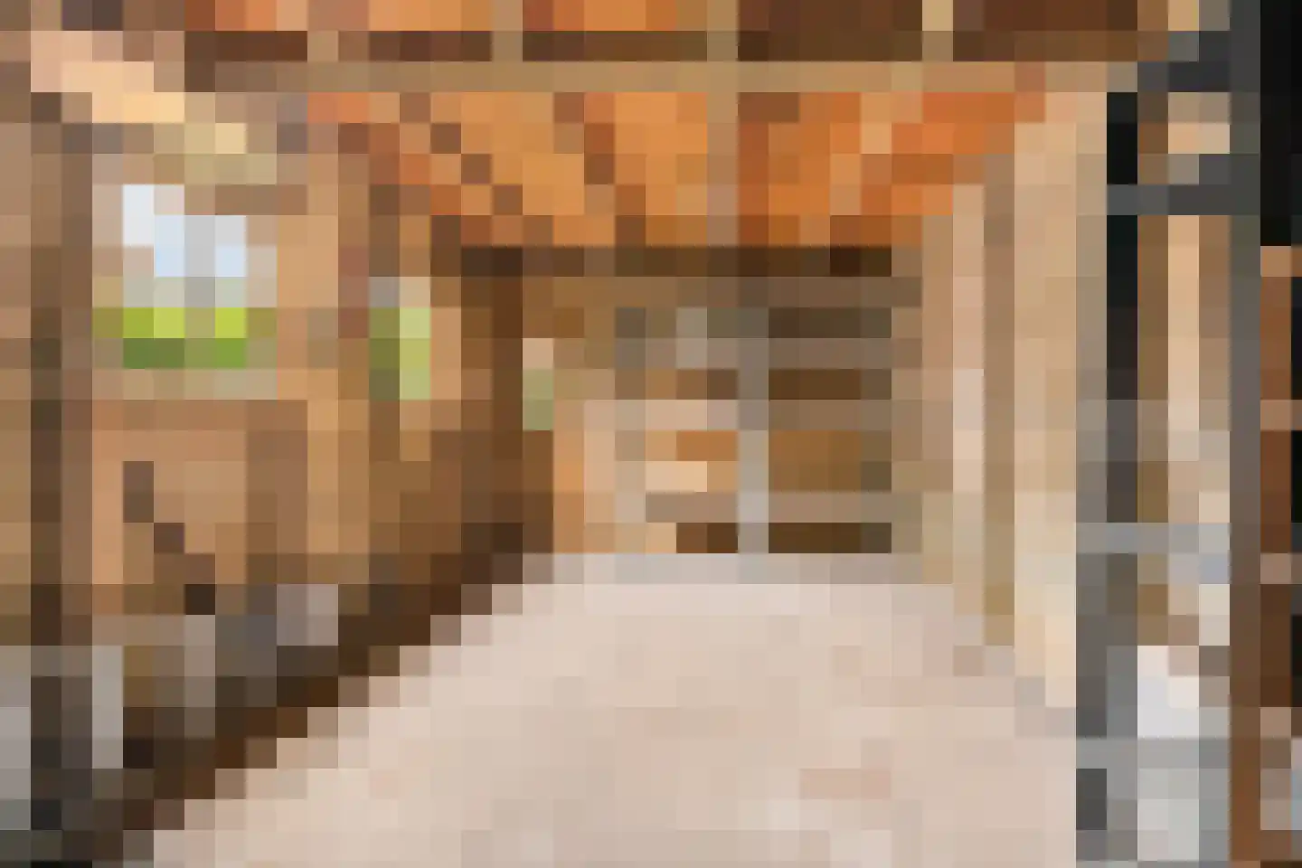 Domela Nieuwenhuisstraat 5 Didam thumbnail 54