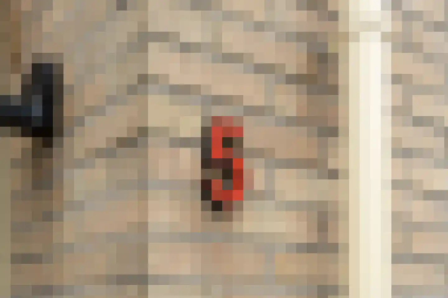 Domela Nieuwenhuisstraat 5 Didam thumbnail 58
