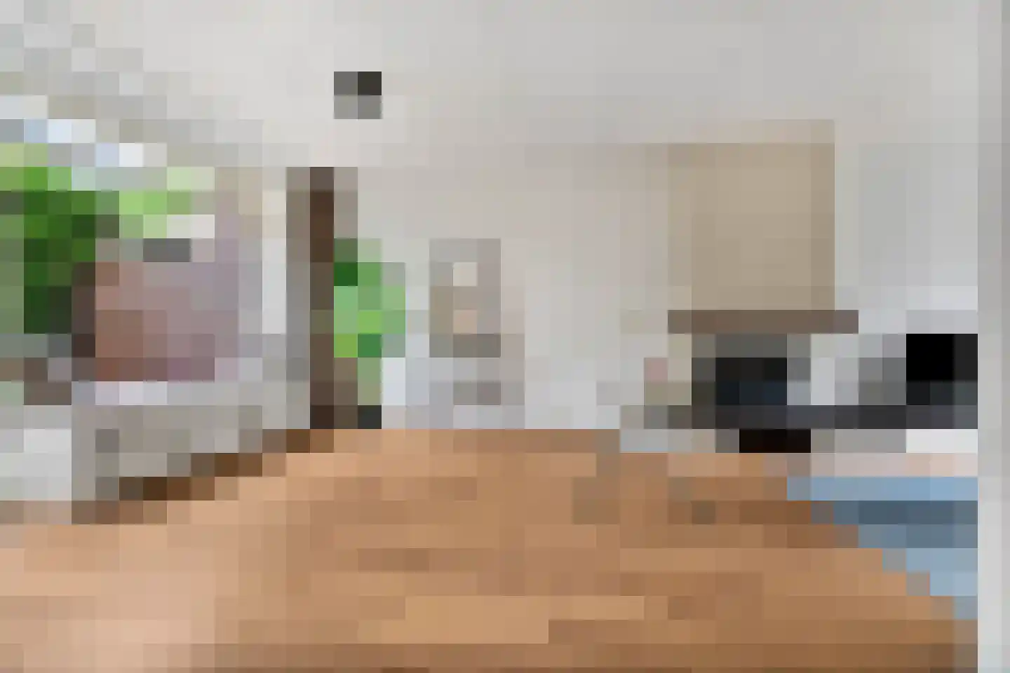 Domela Nieuwenhuisstraat 5 Didam thumbnail 9