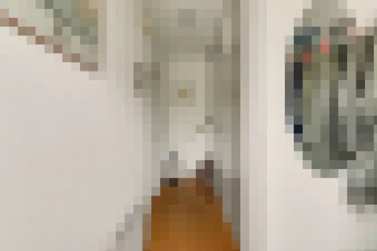 Domela Nieuwenhuisstraat 6 Papendrecht thumbnail 11