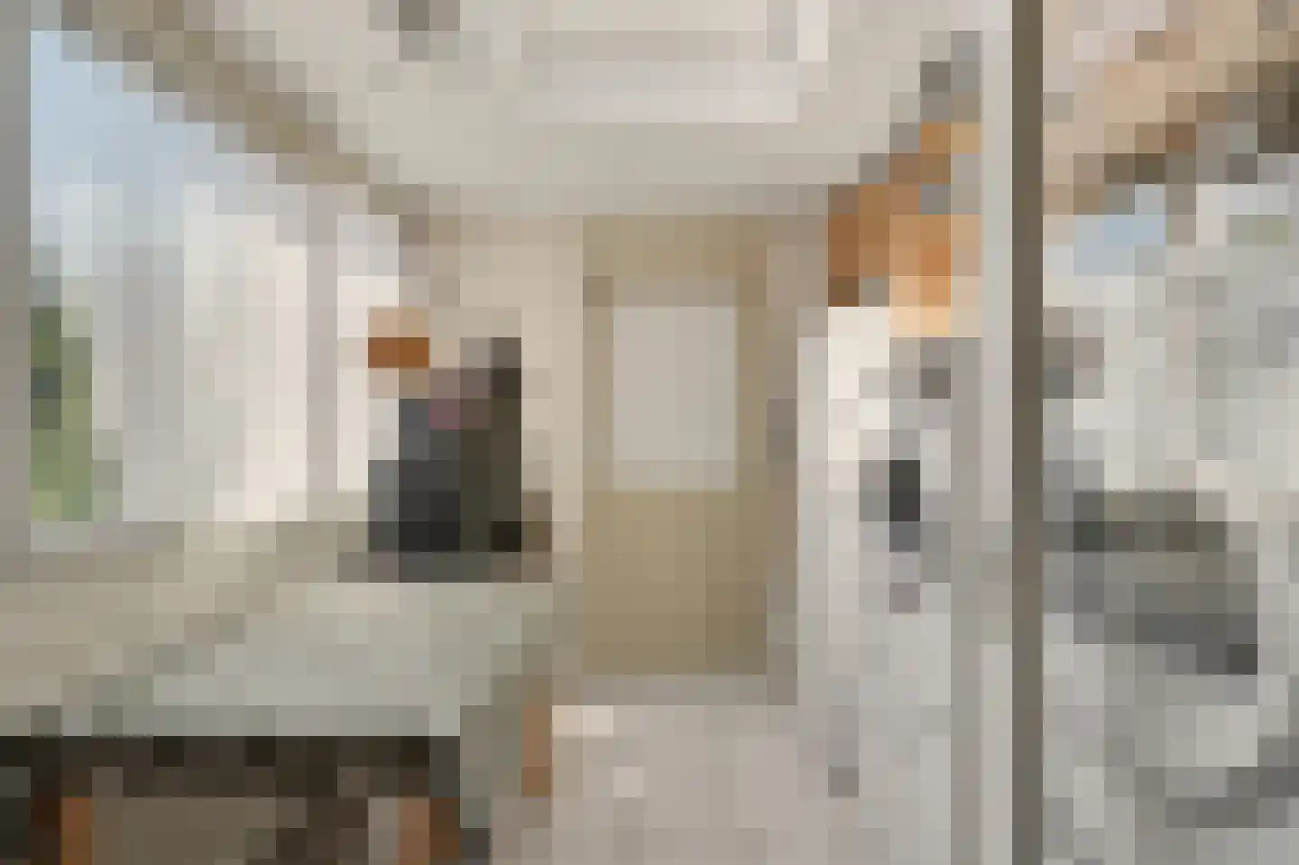Domela Nieuwenhuisstraat 6 Papendrecht thumbnail 29