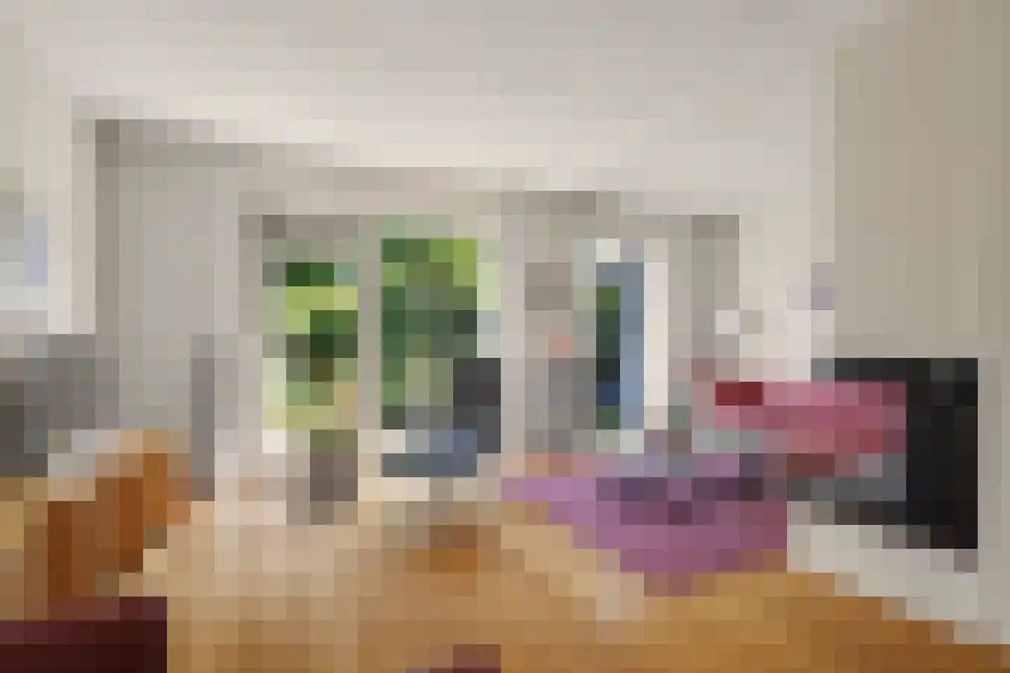 Domela Nieuwenhuisstraat 6 Papendrecht thumbnail 4