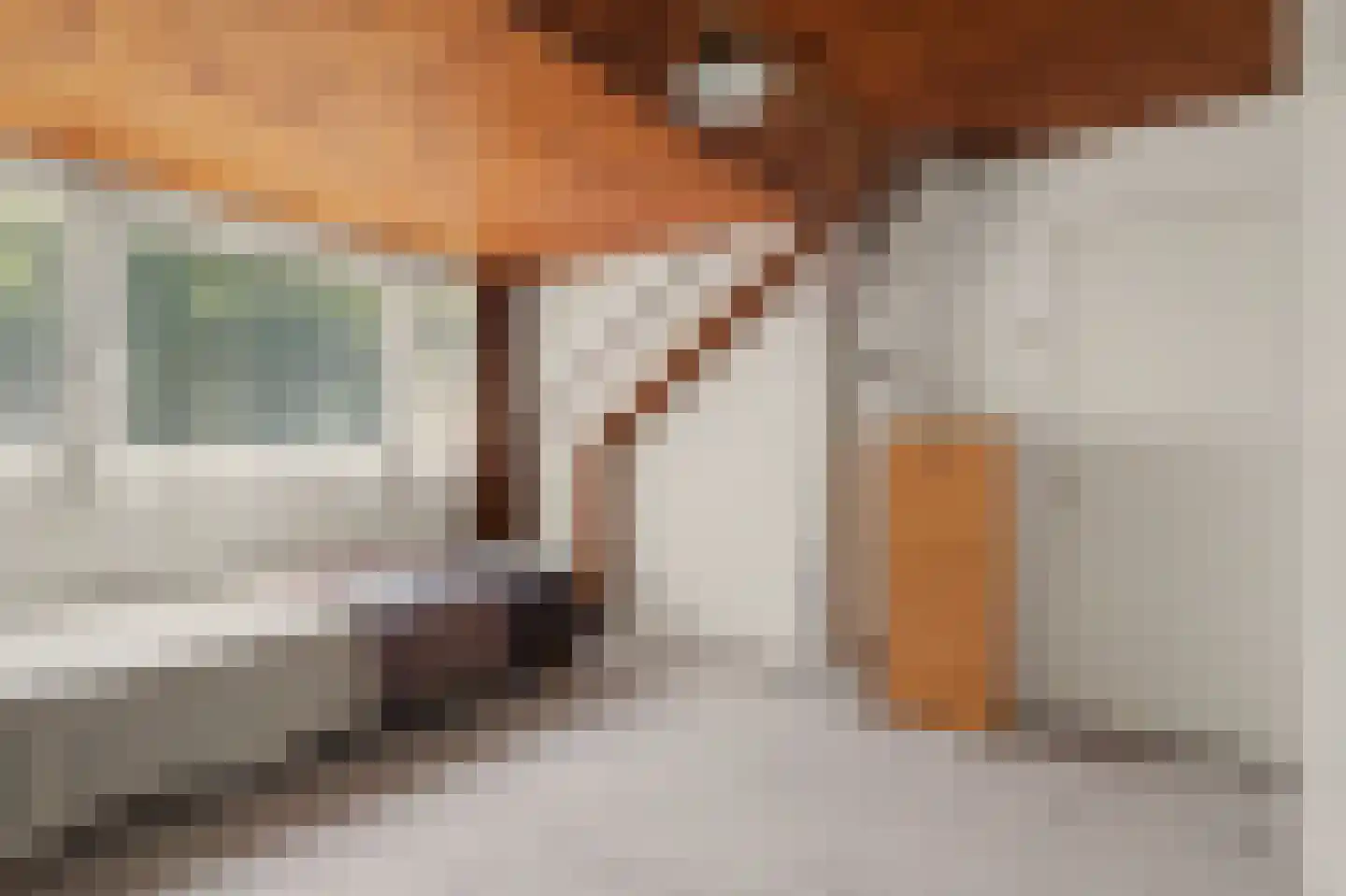 Domela Nieuwenhuisstraat 6 Papendrecht thumbnail 45
