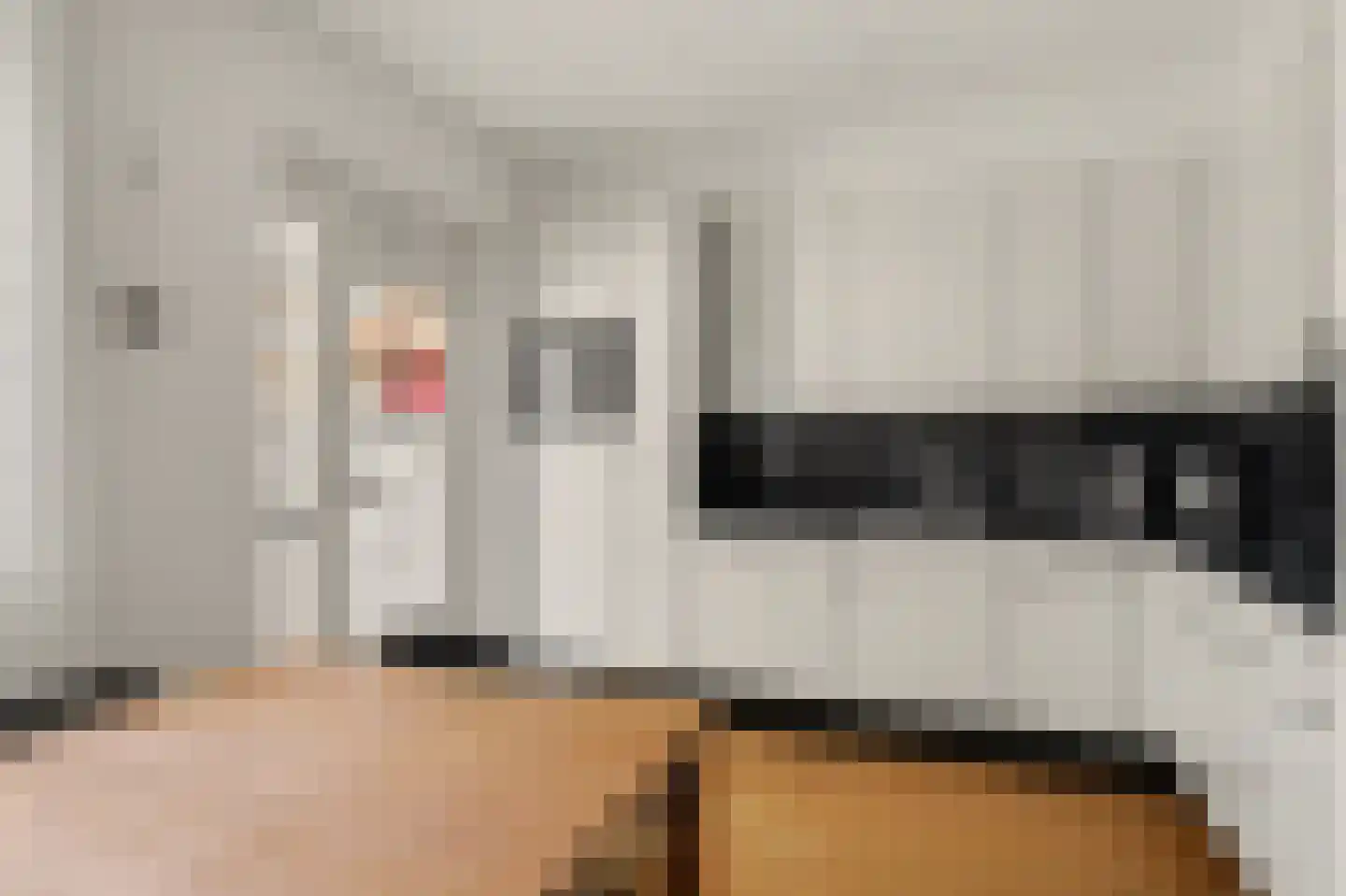 Domela Nieuwenhuisstraat 6 Papendrecht thumbnail 6