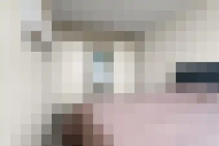 Domela Nieuwenhuisstraat 7 Nijmegen thumbnail 31