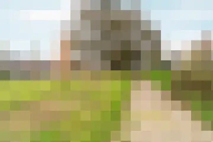 Domela Nieuwenhuisstraat 7 Nijmegen thumbnail 37