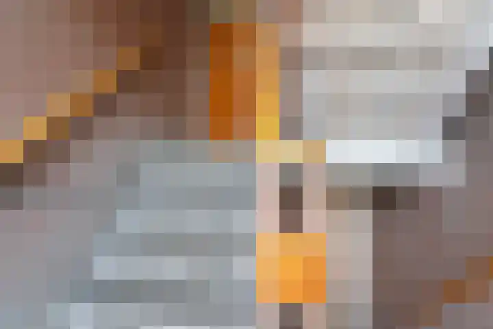 Domela Nieuwenhuisstraat 7 Nijmegen thumbnail 5