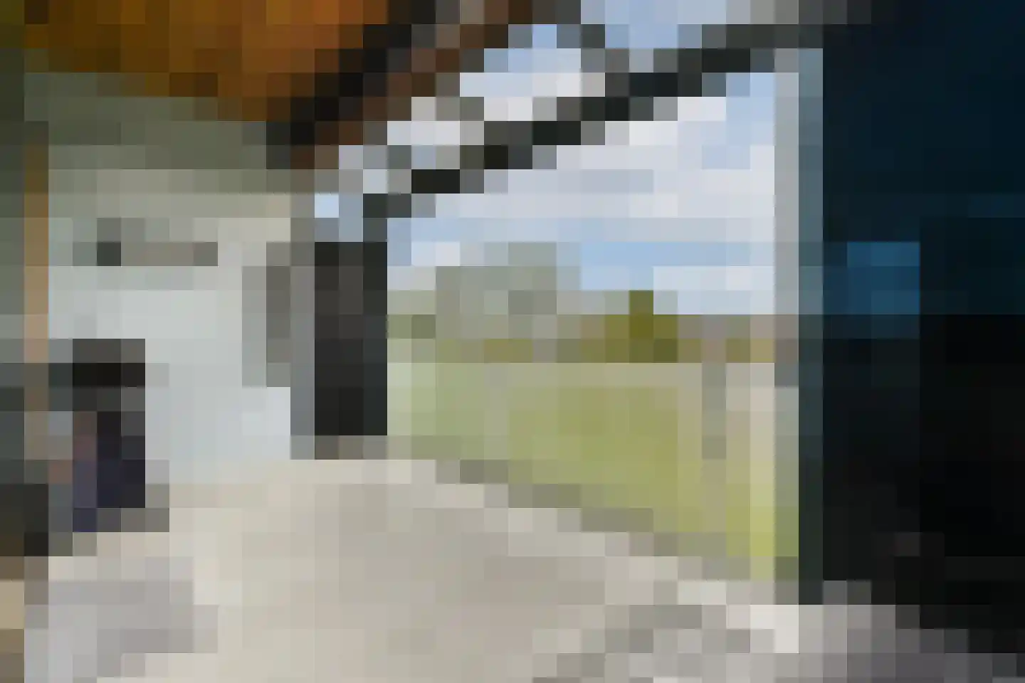 Domela Nieuwenhuisstraat 92 Amsterdam thumbnail 8