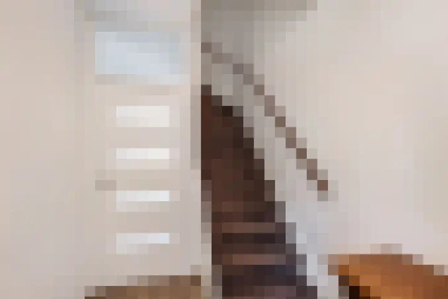 Domela Nieuwenhuisstrjitte 12 Boelenslaan thumbnail 13
