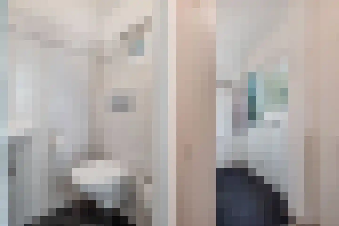 Domela Nieuwenhuisstrjitte 12 Boelenslaan thumbnail 14